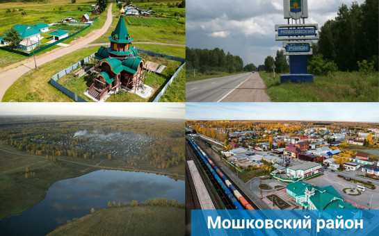 ВЫБОРЫ 2025: Мошковский район