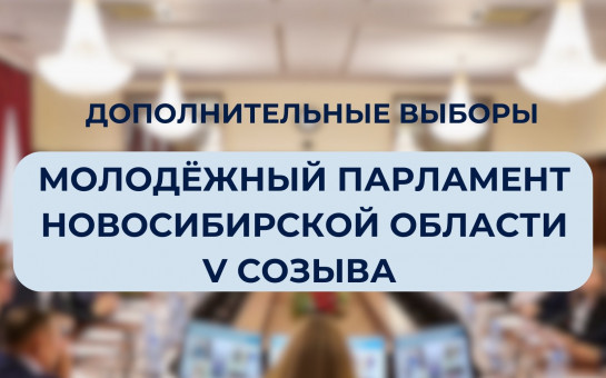 В Новосибирской области проходят выборы в Молодежный парламент