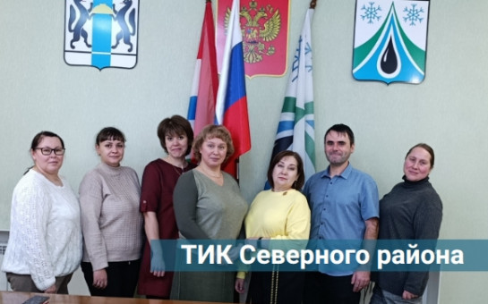 Знакомьтесь! ТИК Северного района