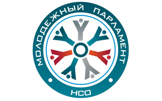 В Новосибирской области назначены дополнительные выборы членов Молодежного парламента региона